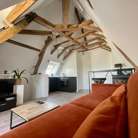 Appartement Cosy Vue Sur Le Vignoble Sancerre Buitenkant foto