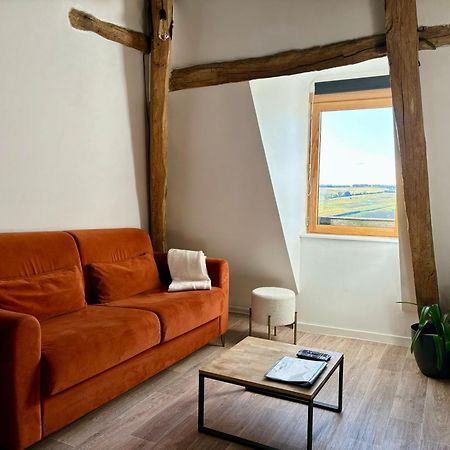Appartement Cosy Vue Sur Le Vignoble Sancerre Buitenkant foto