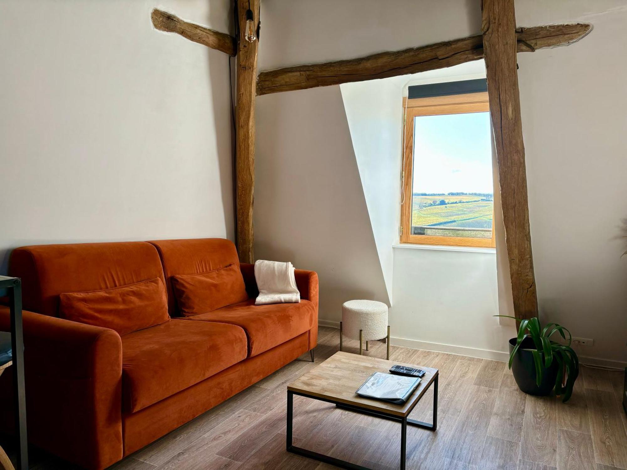 Appartement Cosy Vue Sur Le Vignoble Sancerre Buitenkant foto